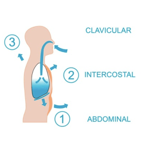 tipos-de-respiracion